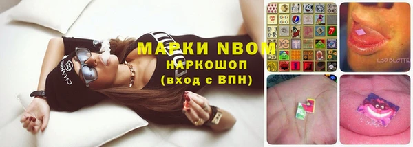 apvp Карпинск