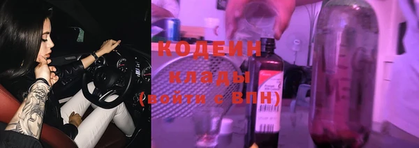 apvp Карпинск