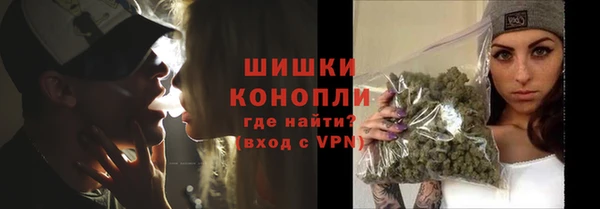 apvp Карпинск