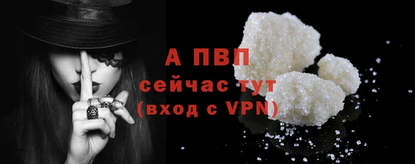 apvp Карпинск