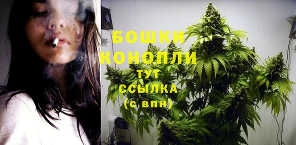 apvp Карпинск