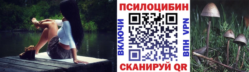 Купить  Завитинск  Галлюциногенные грибы прущие грибы 