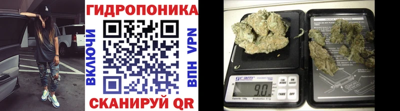 Конопля White Widow  Купить где  Завитинск 